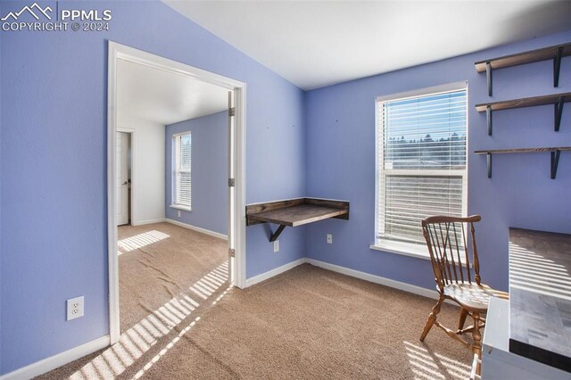 unfurnished office featuring baseboards, plenty of natural light, and carpet