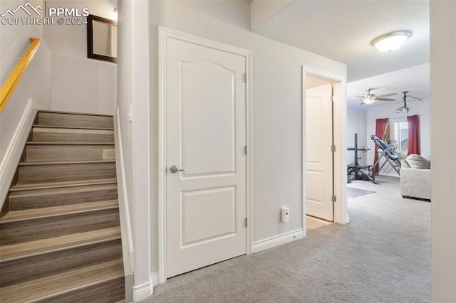 corridor with carpet floors