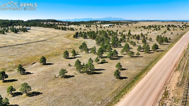 17780 Cleese Ct, Peyton, CO 80831