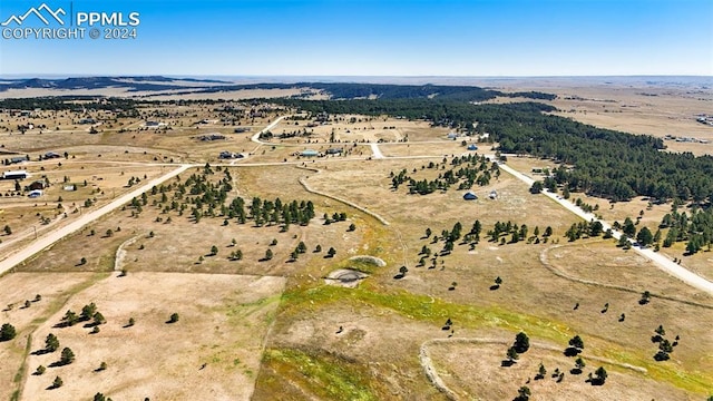 17780 Cleese Ct, Peyton, CO 80831