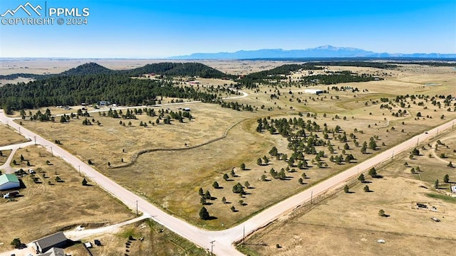 17780 Cleese Ct, Peyton, CO 80831
