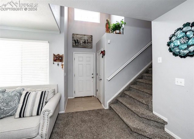 entrance foyer featuring carpet floors