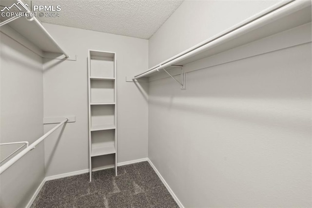 spacious closet with dark carpet