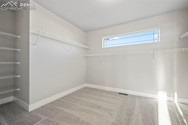 walk in closet with carpet