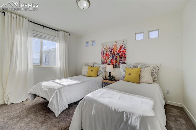 bedroom featuring carpet floors