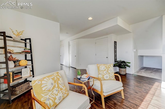 living area with dark wood-type flooring