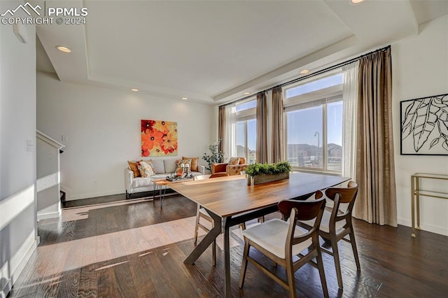 dining room featuring a tray ceiling and dark hardwood / wood-style flooring