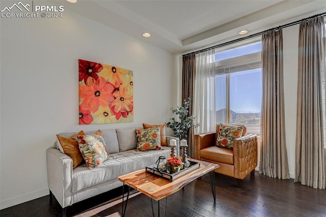 sitting room with dark hardwood / wood-style floors