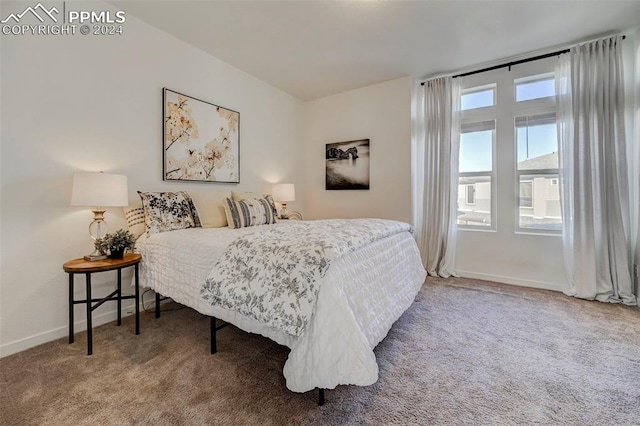 bedroom with carpet floors