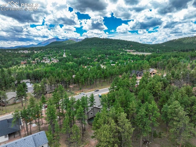 birds eye view of property featuring a mountain view