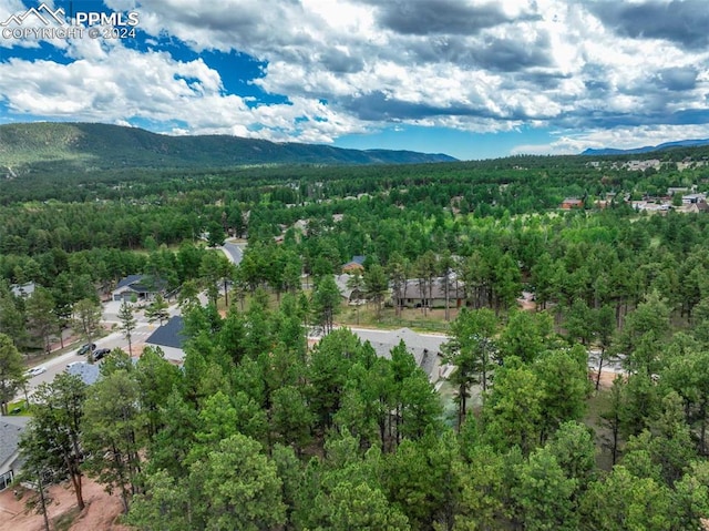 drone / aerial view featuring a mountain view