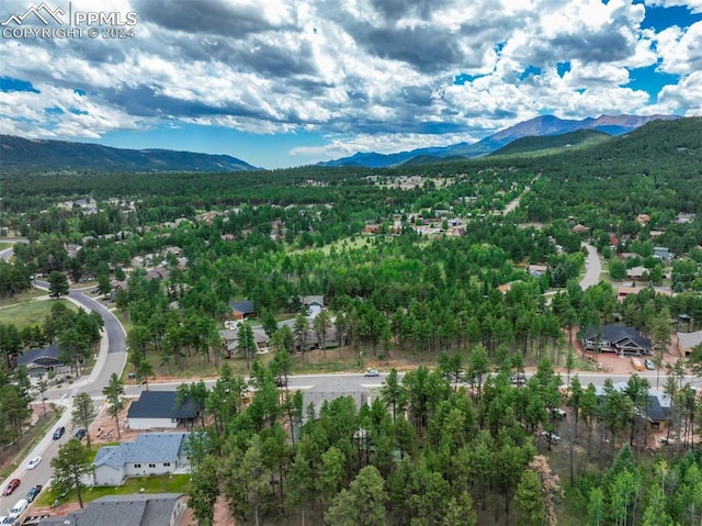 birds eye view of property with a mountain view