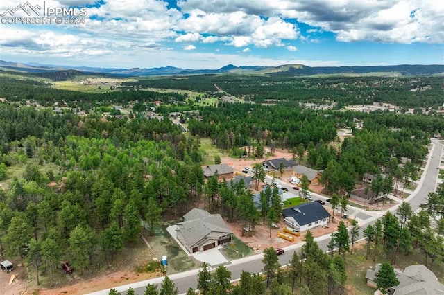 birds eye view of property featuring a mountain view