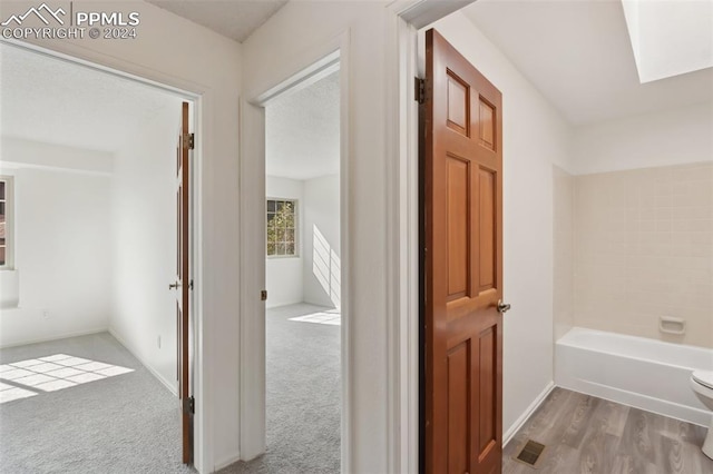 hallway with carpet flooring and a skylight