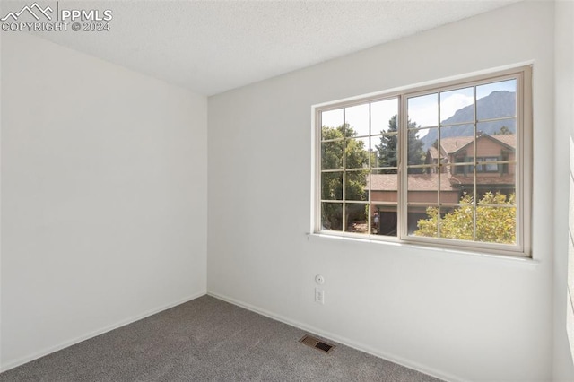 unfurnished room with carpet and a textured ceiling