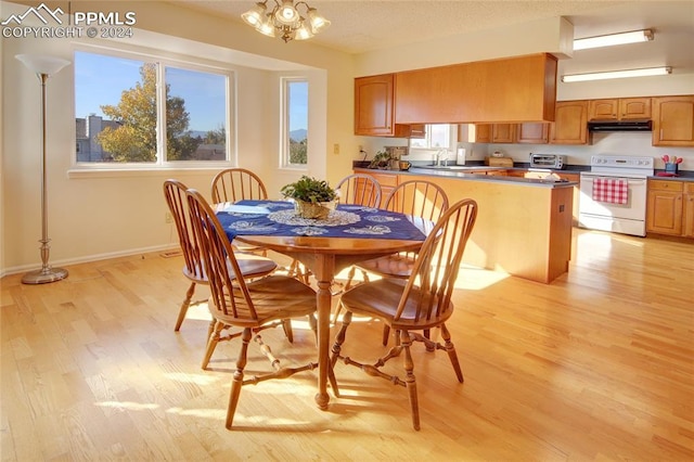 dining area featuring a chandelier and light wood-type flooring