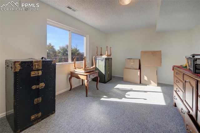 interior space with a textured ceiling and light colored carpet