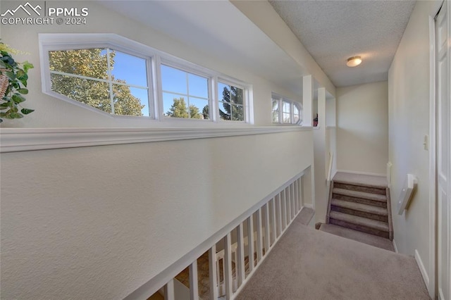 stairway with carpet and a textured ceiling