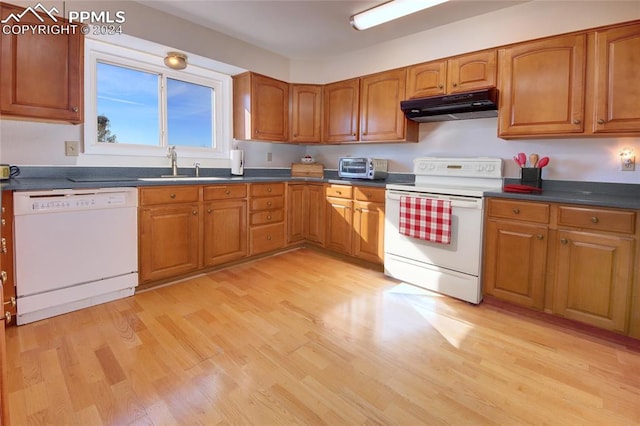 kitchen featuring sink, light hardwood / wood-style floors, and white appliances