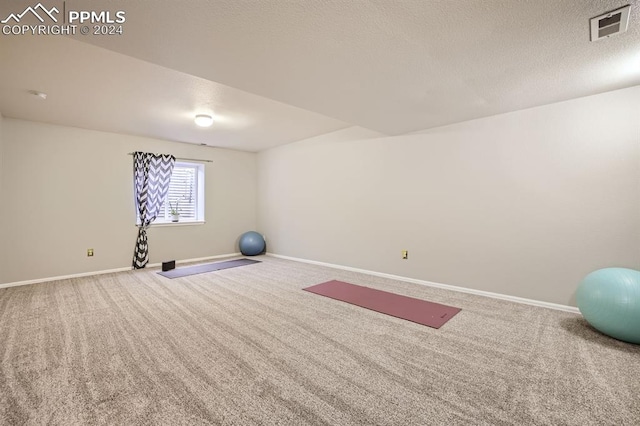 exercise area with a textured ceiling and carpet flooring