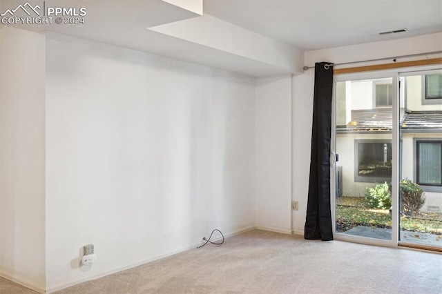 carpeted spare room with a wealth of natural light