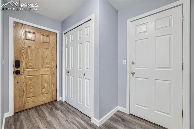 foyer entrance with wood-type flooring