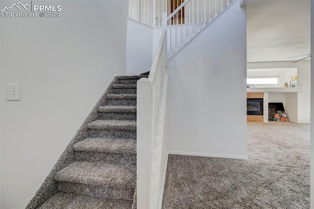 stairs featuring carpet flooring and ceiling fan