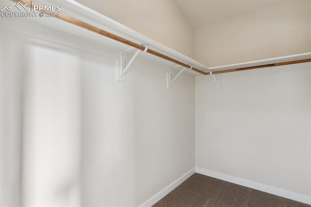 walk in closet featuring carpet flooring