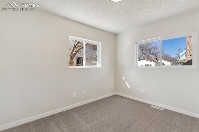 unfurnished room with carpet flooring and a textured ceiling