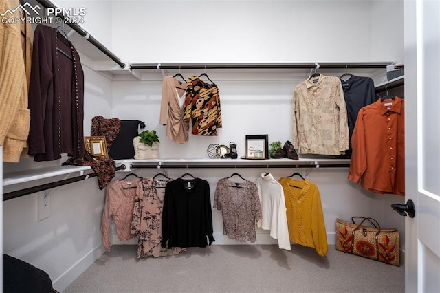 spacious closet featuring carpet