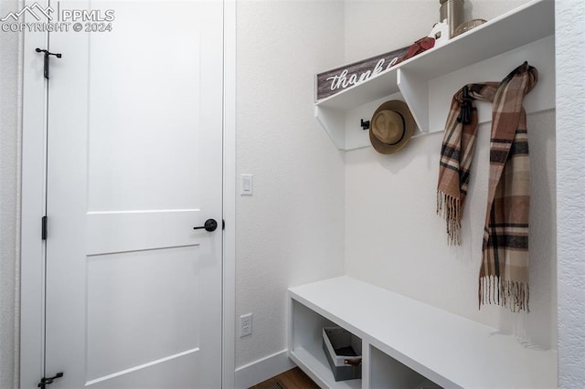 mudroom with dark hardwood / wood-style floors