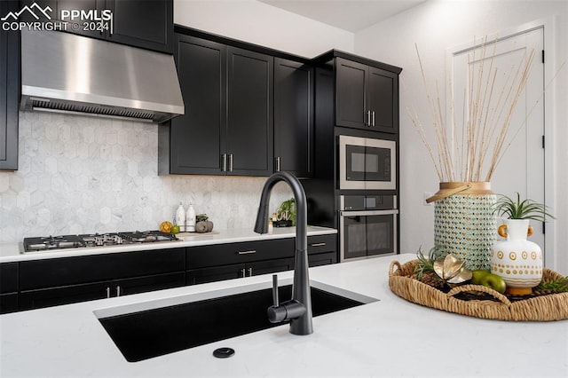 kitchen featuring tasteful backsplash, stainless steel appliances, sink, and range hood