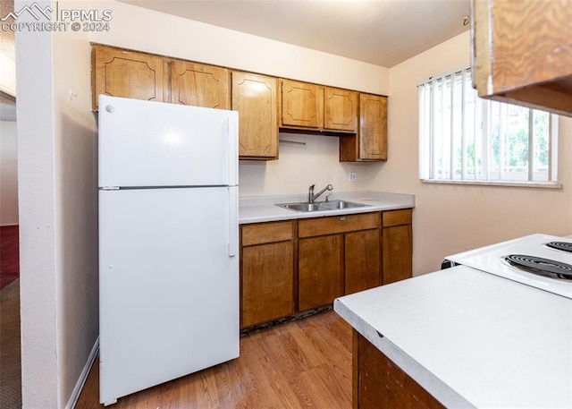 kitchen with sink, light hardwood / wood-style flooring, and white fridge