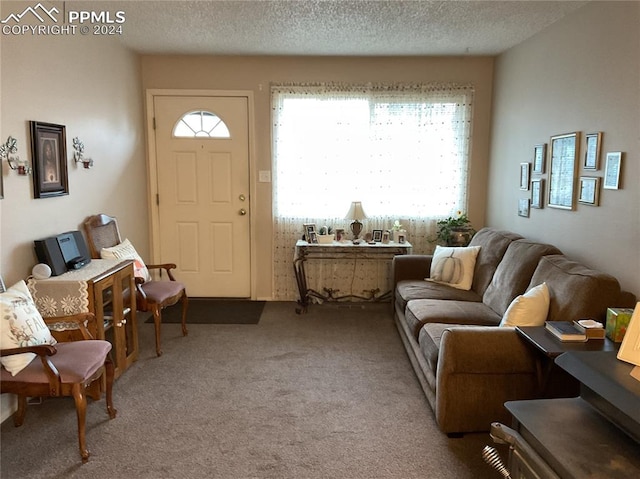 carpeted living room with a textured ceiling