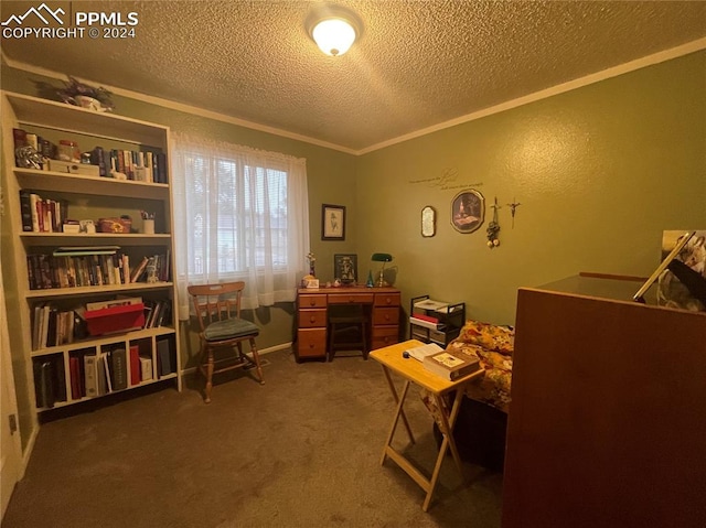 carpeted office space with ornamental molding and a textured ceiling