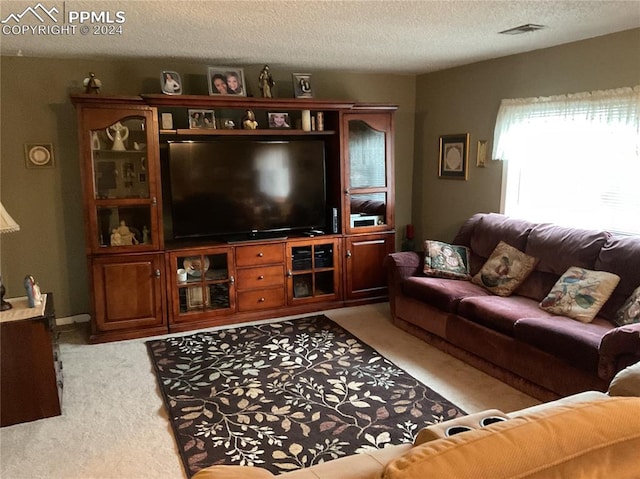 carpeted living room featuring a textured ceiling