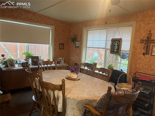 dining space featuring ceiling fan