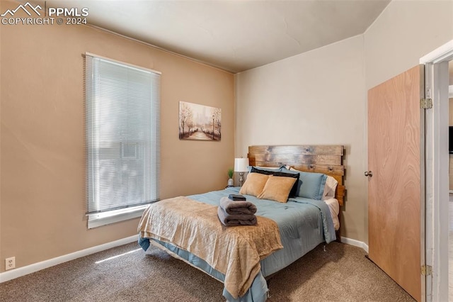 bedroom with carpet flooring