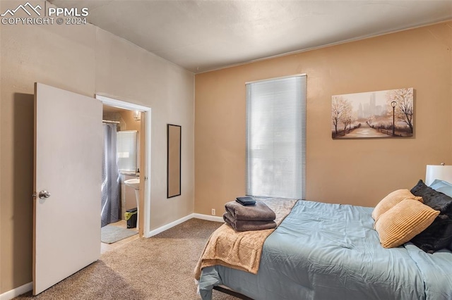 carpeted bedroom with connected bathroom