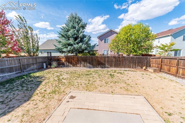 view of yard with a patio area