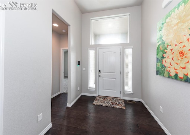 entryway featuring dark wood-type flooring