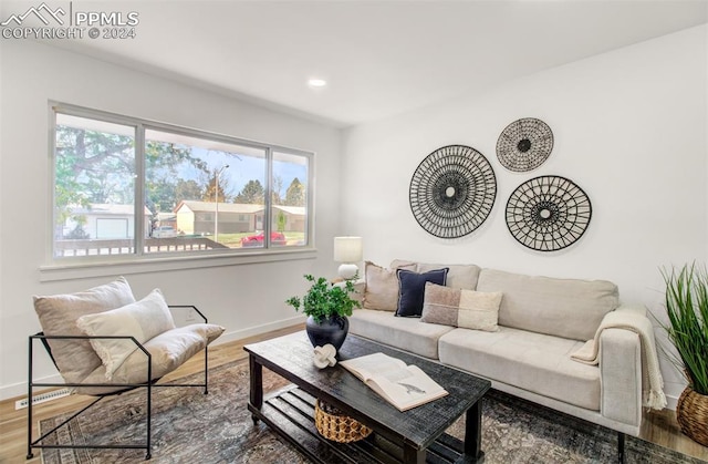 living room featuring wood-type flooring