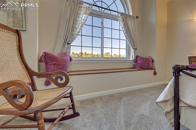 living area with carpet floors