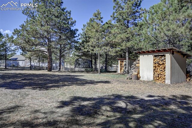 view of yard with a shed