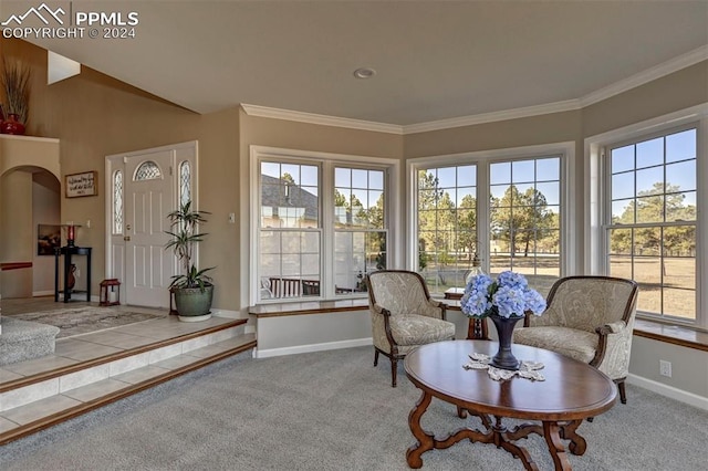 living area with ornamental molding, carpet floors, and a wealth of natural light