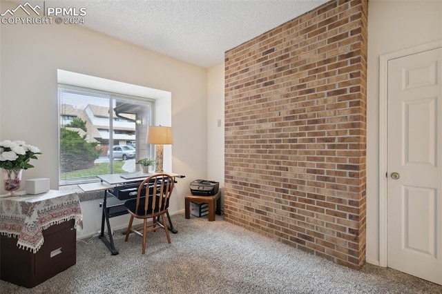 home office with a textured ceiling and carpet flooring