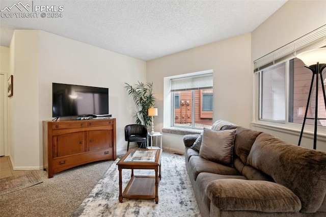 carpeted living room with a textured ceiling and plenty of natural light