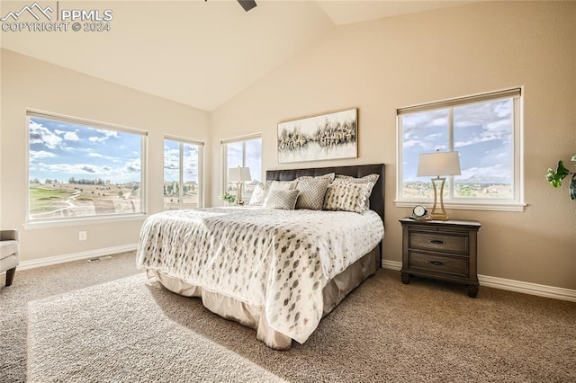 bedroom featuring ceiling fan, carpet, and vaulted ceiling