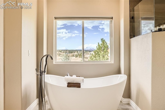 bathroom with a bathtub