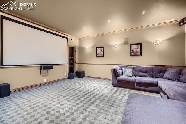 cinema featuring crown molding and carpet